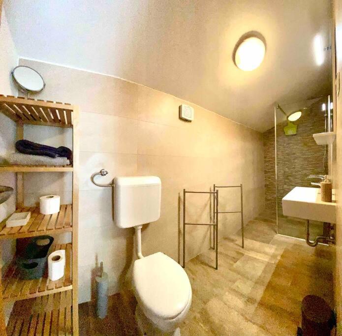 Casa Rustica Apartment Buici  Екстериор снимка
